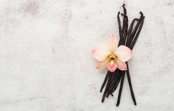 Dried vanilla sticks and orchid flower set up on white concrete background.