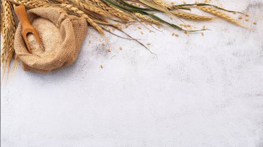 Wheat ears and wheat grains set up on white stone background.