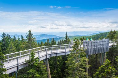 Ağaç tepelerinin üzerindeki orman paraşütü patikası, Rogla, Slovenya 'daki açık hava macerası