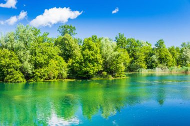 Beautiful green Mreznica river in Belavici village in Croatia, natural landscape clipart