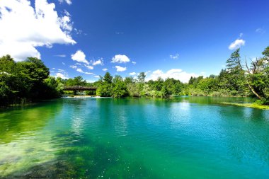 Hırvatistan 'ın Belavici köyündeki güzel yeşil Mreznica nehri, doğal manzara