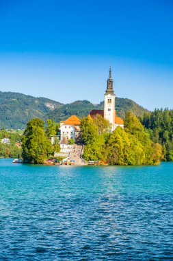 Slovenya 'da sonbaharda akan göl, inanılmaz manzara.