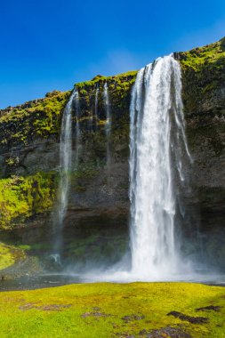 Seljalandfoss Şelalesi, İzlanda 'nın güneydoğusunda popüler bir turizm merkezi.