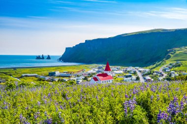 İzlanda Myrdal Vadisi 'ndeki Vik kasabasının panoramik manzarası