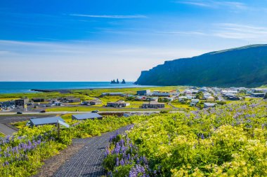 İzlanda Myrdal Vadisi 'ndeki Vik kasabasının panoramik manzarası