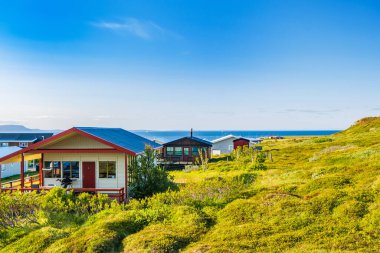 İzlanda 'nın Bakkafjordur kentindeki tipik İzlanda evleri, turizm beldesi 