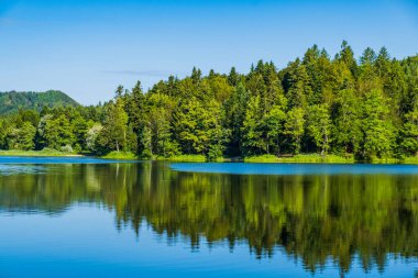 Hırvatistan 'ın Zagorje kentindeki Trakoscan Gölü üzerindeki ormanın yansıması, inanılmaz doğa manzarası