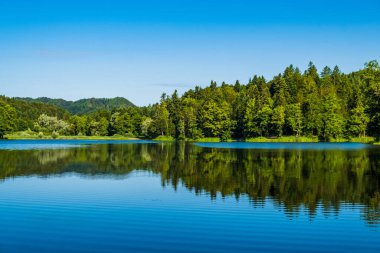Hırvatistan 'ın Zagorje kentindeki Trakoscan Gölü üzerindeki ormanın yansıması, inanılmaz doğa manzarası