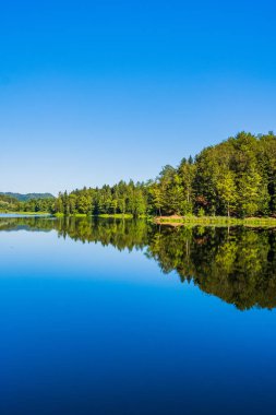 Hırvatistan 'ın Zagorje kentindeki Trakoscan Gölü üzerindeki ormanın yansıması, inanılmaz doğa manzarası
