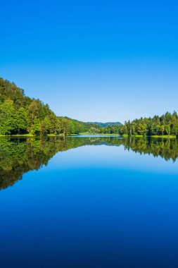 Hırvatistan 'ın Zagorje kentindeki Trakoscan Gölü üzerindeki ormanın yansıması, inanılmaz doğa manzarası