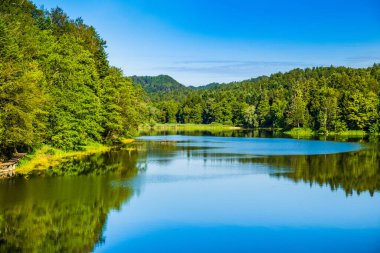 Hırvatistan 'ın Zagorje kentindeki Trakoscan Gölü üzerindeki ormanın yansıması, inanılmaz doğa manzarası