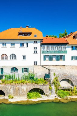 Skofja Loka Slovenya 'daki Sora Nehri