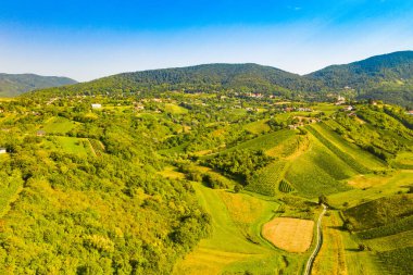 Hırvatistan 'ın Plesivica kentindeki pitoresk üzüm bağlarının panoramik manzarası, muhteşem Hırvat şarap bölgesi 