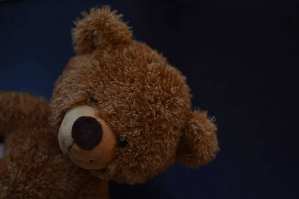 Urso Brinquedo Marrom Fundo Preto — Fotografia de Stock