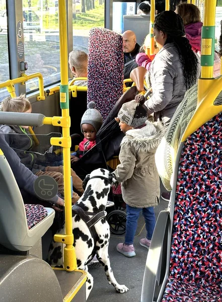 Berlín Alemania Mayo 2023 Pasajeros Con Niños Perro Amordazado Transporte — Foto de Stock