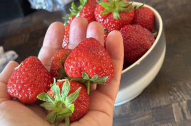 Hurma ve fincanda olgun çilekler