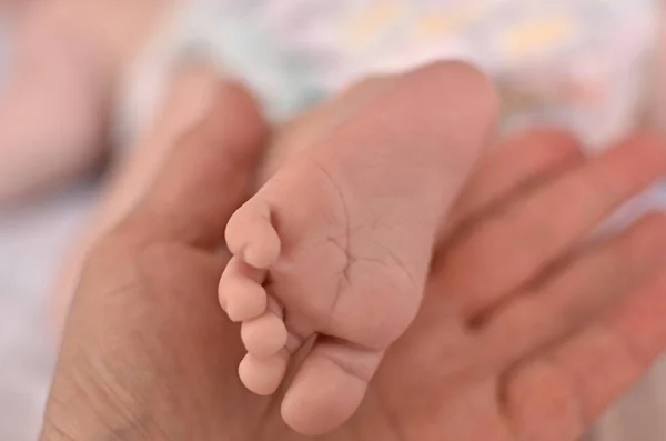Der Nackte Fuß Eines Babys Der Handfläche Einer Frau — Stockfoto