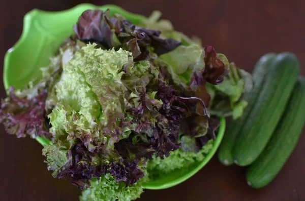Plastik Yeşilde Yeşil Kahverengi Marul Yaprakları Salatalıklar — Stok fotoğraf
