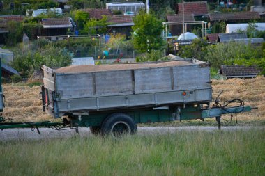 Buğday hasadı olan ahşap karavan tarlada duruyor.