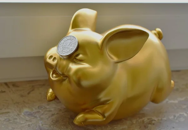 golden pig piggy bank and 2 swiss francs