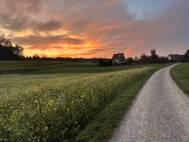 Ufuktaki çiftçinin evi tarlaların yanında ve arkadaki yol akşam gökyüzünde parlıyor.