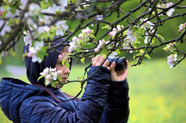 Çocuk çiçek açan bir elma ağacının fotoğrafını çekiyor.