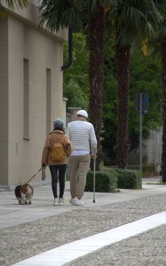 Yaşlı bir çift, bir adam ve bir kadın, bir köpekle sokakta yürüyorlar.