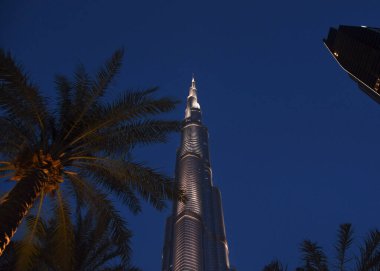 Dubai Birleşik Arap Emirlikleri 07.05.2025, dünyanın en yüksek kulesi Burj Halife ve palmiye yaprakları gece gökyüzüne karşı.,