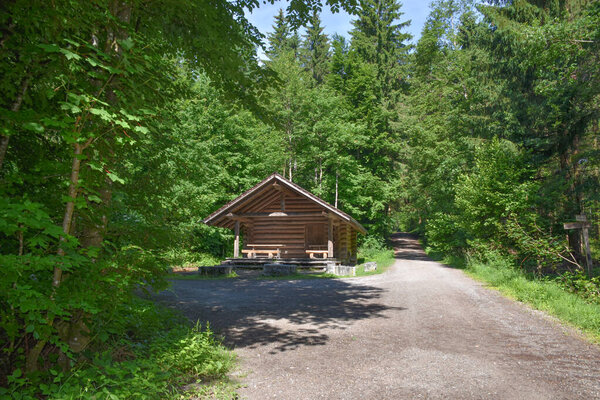 деревянный дом в лесу рядом с дорогой