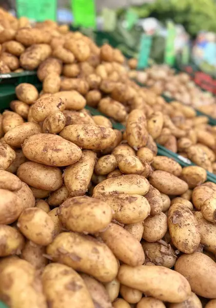 Almanya 'da yerel bir markette yeşil sandıkların içinde taze patates.