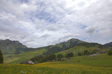 İsviçre, Zürih yakınlarındaki yeşil vadi ve ahşap kiremitlerle yaz dağları manzarası.