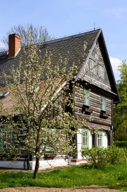 Old half-timbered house with apple tree in bloom in Krystofovo Udoli, close to Liberec, Czech Republic