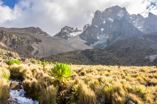 Mount Kenya Batian Peak Shiptons Camp — Stock fotografie