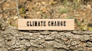 İklim değişikliği kelimesi. Ahşap çerçeveye yazılmış geçmiş kayıtları. Doğa ve yaşam