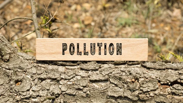 Pollution word. Background log written on wooden frame. Nature and life.