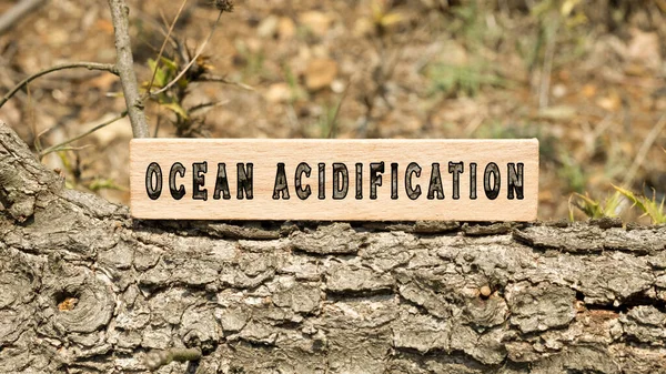 Ocean acidification word. Background log written on wooden frame. Nature and life