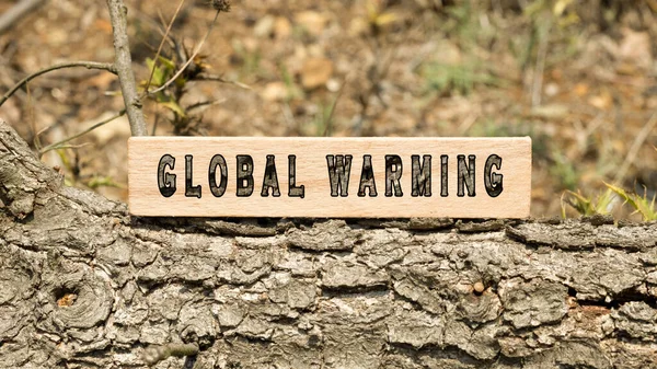 Global warming word. Background log written on wooden frame. Nature and life