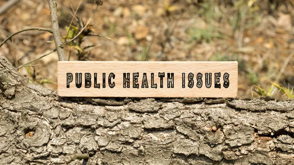 公共卫生问题一词 背景日志写在木制框架上 自然与生命 免版税图库图片