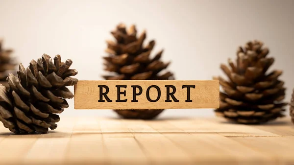 Text Zprávy Napsaný Dřevěném Povrchu Dřevěný Kužel Borovice — Stock fotografie