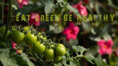 Yeşil ye. Sağlıklı ol. Taze meyve ve sebze..