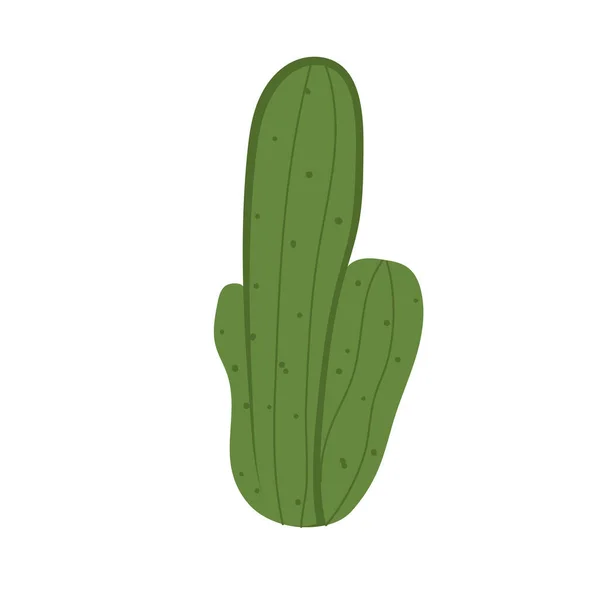 Icône Croquis Cactus Couleur Isolée Illustration Vectorielle — Image vectorielle