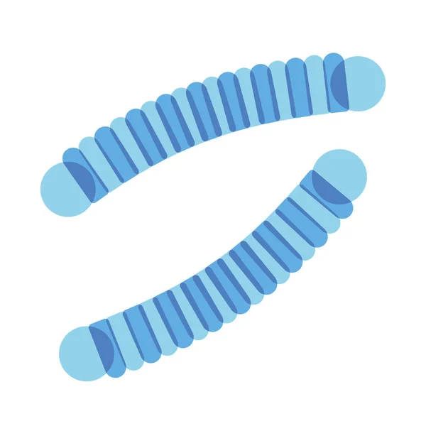 Isolierte Paar Gummiwürmer Süßigkeiten Schiere Flache Symbol Vector Illustration — Stockvektor