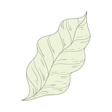 Isolated colored summer leaf sketch icon Vector illustration