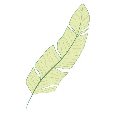 Isolated colored summer leaf sketch icon Vector illustration