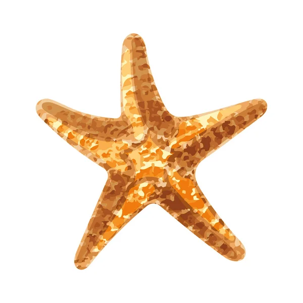 Изолированный Цветной Набросок Морской Звезды Иконка Векторная Иллюстрация — стоковый вектор