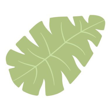 İzole edilmiş yaz yaprağı simgesi Vektör illüstrasyonuName