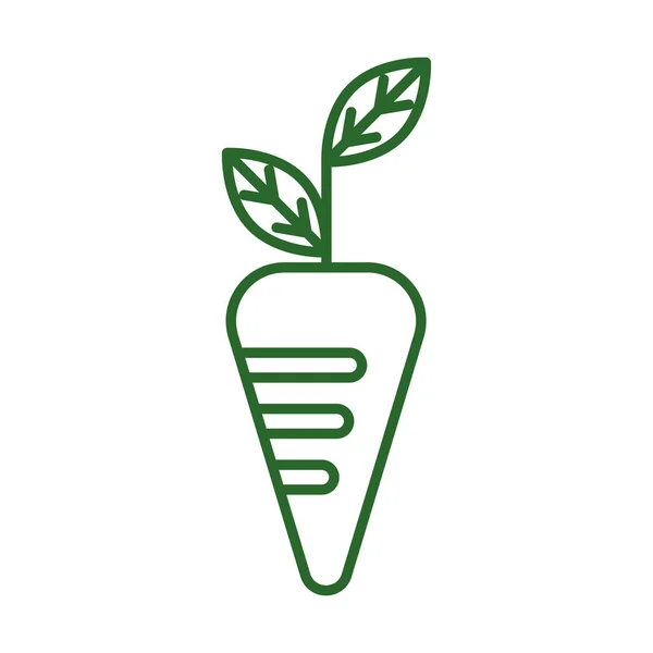 Изолированная Иконка Зеленой Моркови Векторная Иллюстрация — стоковый вектор