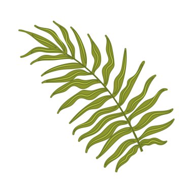 Yaprak Vektörü illüstrasyonunun renkli çizimi