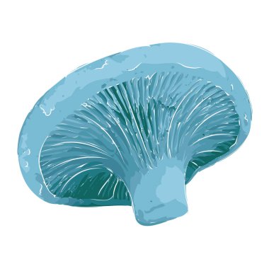 İzole edilmiş renkli detaylı mantar taşıyıcı illüstrasyonu