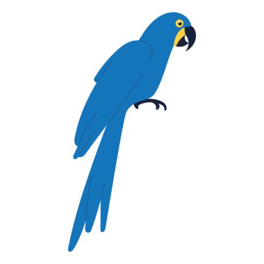 Renkli papağan Tropikal egzotik kuş vektörü çizimi